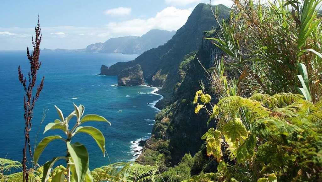 CR: mapiacarrascoc (wallpapercave.com/u/mapiacarrascoc) Madeira, Portugal