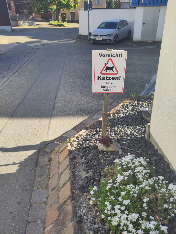 Ein verschlafenes Dorfsträßchen im Sonnenschein, die langen Schatten deuten auf späten Nachmittag. Die Perspektive ist entlang der Straße, genauer: entlang ihres rechten Randes. Im Vordergrund an einer gelben Hausecke ein schmales Beet mit Schotter und weißen, bodendeckenden Blumen und einem Schild "Vorsicht! Katzen! Bitte langsam fahren!" Der Text umrahmt ein rotes Verbotsdreieck mit der schwarzen Silhouette einer Katze. Nach der Hausecke eine Einfahrt, dann parkt, mit dem Gesicht zur Kamera, ein silberfarbener Kleinwagen in einer Ecke vor einer weißen Mauer und unterhalb einer blau umzäunten Veranda. In den Raum unter der Veranda führt eine graue Stahltür. Nach einer Querstraße schließlich Hofgebäude, und mitten im Hof ein kleiner Baum.