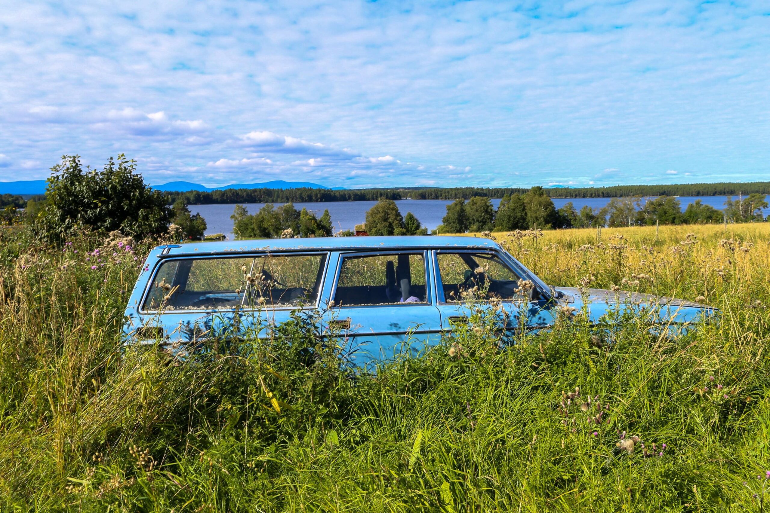 Ein Autowrack in einer Wiese. So richtig kaputt mit rausgeschlagenen Fenstern. Die Wiese wächst fast so hoch wie das Auto. Die Wiese fällt ab zu einem Seeufer, da stehen kleine Hütten. Das Autowrack hat eine ähnliche Farbe wie der Himmel.