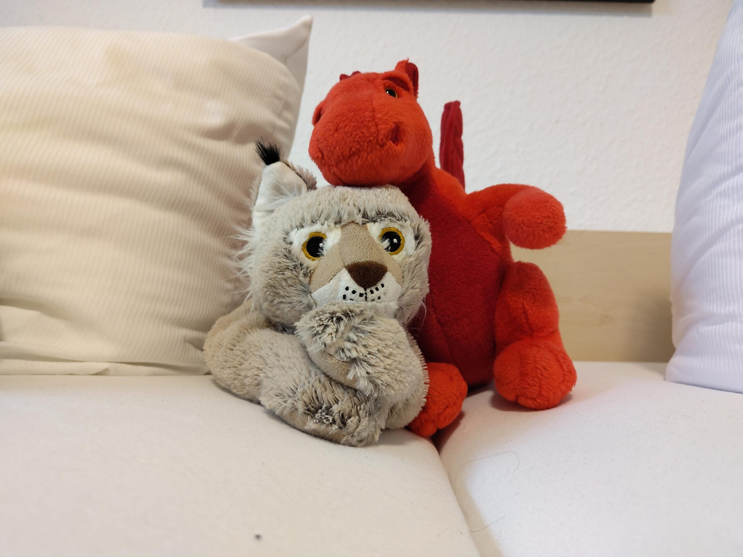 2 Plüschtiere die auf einem Bett sitzen bzw. liegen. Ein roter Drache ist an einen gräulichen Luchs gekuschelt.