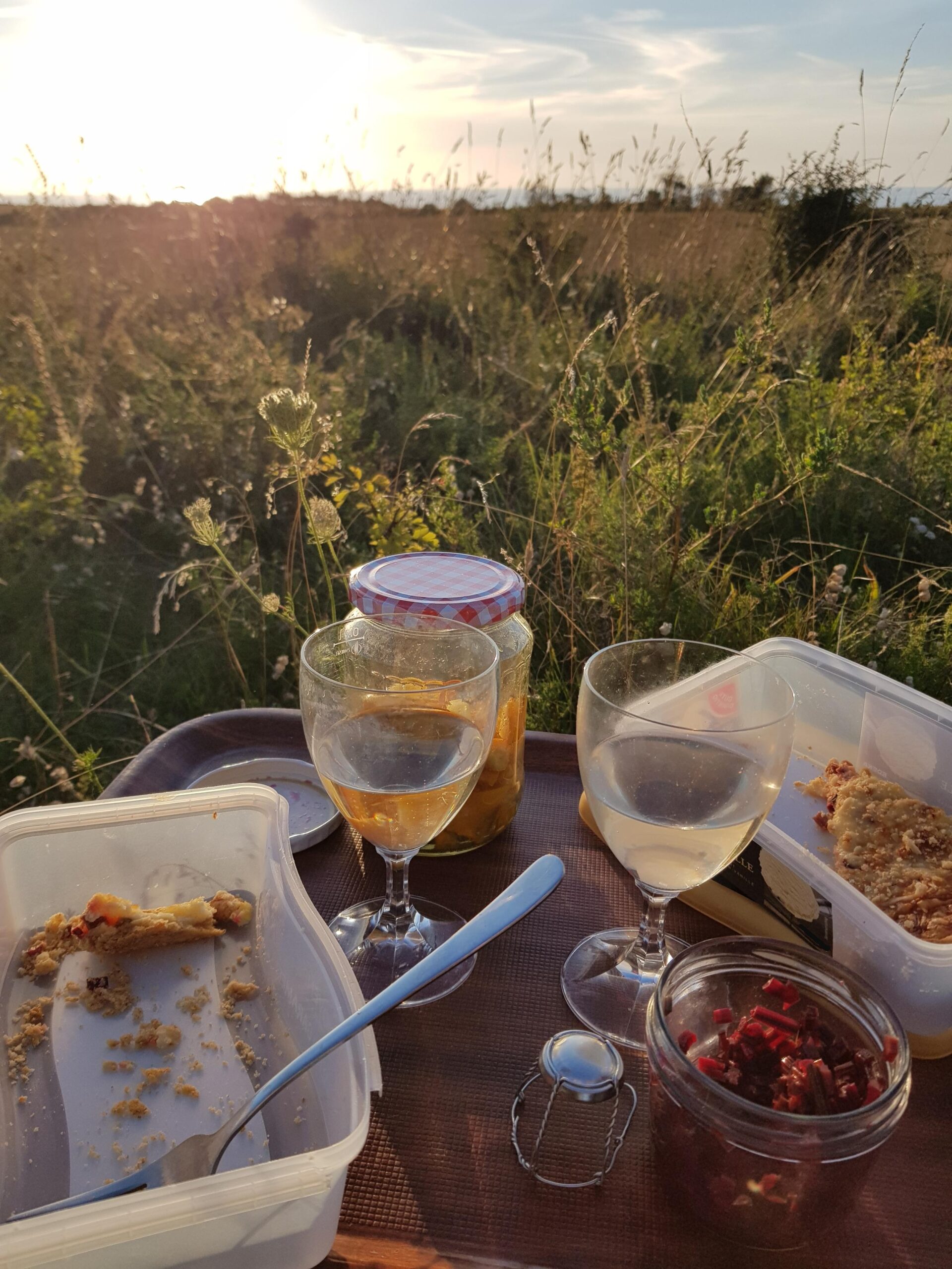 Im Hintergrund steht in der linken Ecke des Bildes gleißend noch oder schon die Sonne knapp über dem Horizont und überstrahlt nicht nur den hellblauen Streifen Himmel mit leichten Schleierwolken und einen schmalen Streifen Meer, sondern auch eine verwilderte Fläche mit Gräsern, Wilden Möhren, Weißdorn ... Im Vordergrund ein schlichte braunes Kantinentablett auf dem zwei gefüllte Weingläser, ein Sektverschluss, ein Schraubdeckelglas mit rotem und eines mit gelben Inhalt und zwei geöffnete ehemalige Eiscreme-Behältnisse stehen. Eines enthält eine Gabel und ein paar Krümel, das andere ein noch unangetastetes Stück Kuchen oder Tarte.